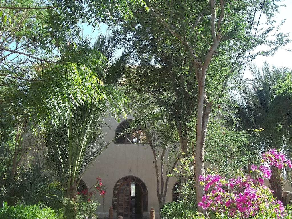 Nour El Balad Otel Luksor Dış mekan fotoğraf